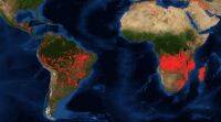 NASA的卫星图像显示非洲的森林大火比亚马逊更严重