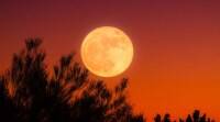 今夜罕见的丰收月亮: 这是什么意思，印度时间，如何观看