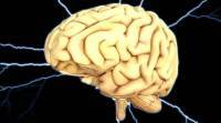 科学家发现大脑神经元可以消除 “不必要的” 记忆