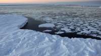 地表融化导致南极冰川更快地滑向海洋: 研究