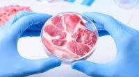 科学家在太空中创造了第一个实验室肉