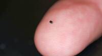 世界上最小的相机传感器只有沙粒大小