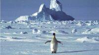 南极高温记录将需要几个月的时间来验证: 联合国