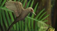 在9900万岁的琥珀中发现了像鸟一样的微小恐龙的头骨和DNA