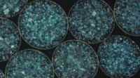 研制结核病疫苗的微小三维球体