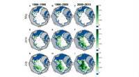 全球变暖可能解释北极的绿色冰