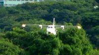 科学家开发了 “草木” 来为未来的飞机提供动力