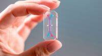 很快，微小的 “芯片器官” 可能会取代动物测试