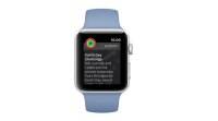 Apple Watch用户今天将获得地球日挑战通知