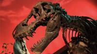 T-Rex骨蛋白证明侏罗纪公园永远不会存在，声称研究
