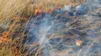 NASA检测到全球森林大火的下降