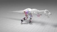 研究表明，霸王龙恐龙不可能高速运行