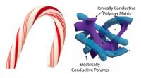 类似甘蔗的超级电容器可以在几秒钟内为智能手机充电: 研究