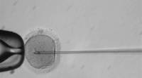 使用CRISPR在美国创建的第一个转基因人类胚胎