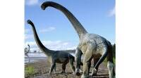 在澳大利亚重新发现的旧址发现了恐龙遗骸