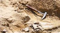 希腊新发现的化石足迹可能会挑战人类进化理论