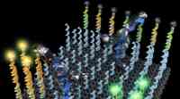 新型DNA纳米机器人可以拾取、分类分子