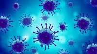 从实验室: 为什么某些细菌会在某些装置中繁殖并抵抗抗生素