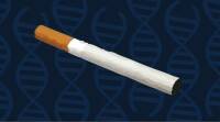 控制吸烟、尼古丁成瘾的基因被发现