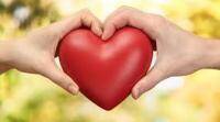 机械心脏瓣膜比生物心脏瓣膜更安全：研究