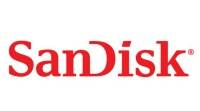 SanDisk印度最受欢迎的闪存供应商: 网络媒体