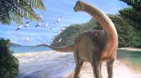 在撒哈拉沙漠中发现的校车大小的恐龙化石