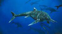 发现了罕见的2亿岁鱼龙物种