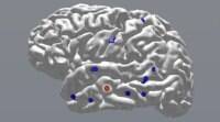 大脑的电脉冲可以将记忆力提高15%: 研究