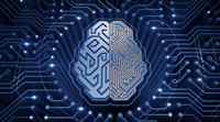 人工智能模型可以帮助解开人类大脑的奥秘：研究