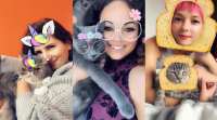 Snapchat推出了猫咪镜头，这是一项为宠物添加滤镜的功能