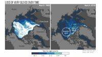 北极地区今年的海冰覆盖率第二低: 报告