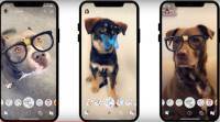 Snapchat介绍了狗的镜头，下面是如何使用