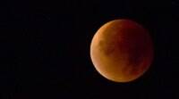超级血狼月亮月食2019直播流: 印度何时、何地以及如何在线观看月全食