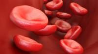 血细胞可能是 “青春之泉” 的关键