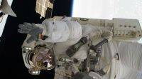 休眠病毒在太空旅行期间重新激活: NASA
