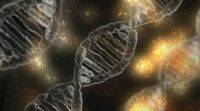 新的DNA样分子可帮助寻找外星生命
