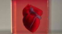 特拉维夫大学科学家首次用病人自己的细胞打印3D心脏